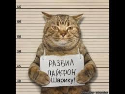 27 вересня відбудеться презентація бренда цифрової держави, - Офіс Президента - Цензор.НЕТ 5205