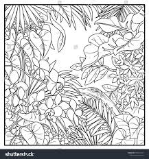 Black And White Line Drawing Background Wild Jungle Black Contour Line Drawing For Coloring On A White Background Line Drawing Drawings Contour Line Drawing