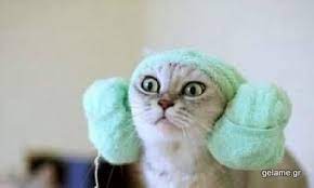 Näytä lisää sivusta funny animals facebookissa. Funny Animals Videos And Pictures Home Facebook