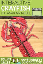 Getting Nerdy Science Life Science And Biology Lessons In 2020 Biology Lessons Life Science Life Science Lessons