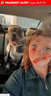 Sighting of the Big Boy Train in Missouri