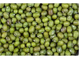 Definisi/arti kata 'kuda' di kamus besar bahasa indonesia (kbbi) adalah n binatang menyusui, berkuku satu, biasa dipiara orang sebagai kendaraan (tunggangan, an. Wiya Kacang Kuda 1x500g Bestwise Sdn Bhd Wholesale Foodstuff Distributor Kota Kinabalu Sabah