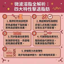 微波溶脂是什麼?解析4大療程效果+潛在副作用| Perfect Medical