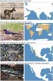Biological Annihilation Via The Ongoing Sixth Mass Extinction Signaled By Vertebrate Population Losses And Declines Pnas