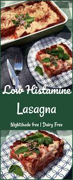 Low Histamine Lasagna The Histamine Friendly Kitchen Recipe Dairy Free Recipes Dinner Nightshade Free Recipes Recipes