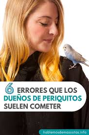 6 Errores Que los Dueños de Periquitos Suelen Cometer