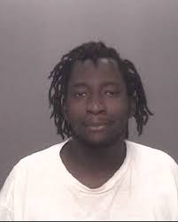 Traffic stop leads to drug charges