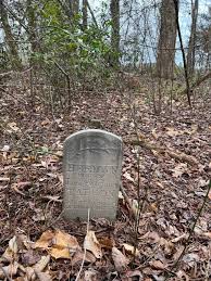 Image result for Soudan Brown 1929 Nash