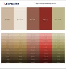 Finding a correct color combination is one of the most important steps in designing a stylish and holistic look. 150 Latest Color Schemes With Beige And Brown Color Tone Combinations 2021 Icolorpalette