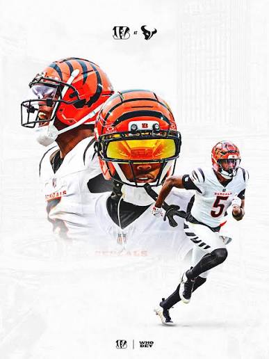 Cincinnati Bengals (@bengals) • Instagram photos and videos