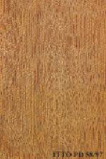 Image result for Antrocaryon