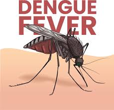 Image result for Dengue