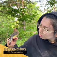 Oles were busy this past summer with internships and undergraduate  research! Check out what these St. Olaf students have learned and where  their experiences have led — and explore more Ole internship