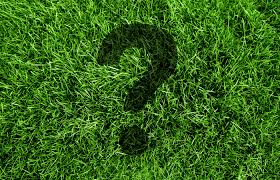 As with our other list pages, you can click on the small 'x' in each entry to remove unneeded/unwanted entries in the result. What Kind Of Grass Do I Have