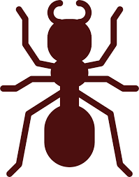 3677 23rd ave s ste a106 lake worth fl 33461. Essential Pest Control Specialists In Pest Control Tucson