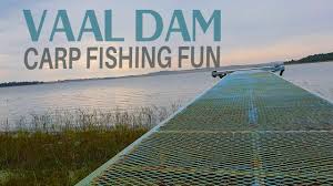 Vaal dam resort & cruising. Carp Fishing At The Vaal Dam South Africa Feb 2020 The Retreat Youtube