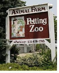 Animal Farm Petting Zoo - 296 Wading River Rd Manorville Ny 11949 631-878-1785 20 Minutes Away Zoo Animals Pets Farm Animals