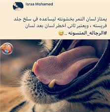 pin by يريم سليم on screenshots arabic funny knowledge quotes jokes