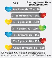 Know Whether You Have A Normal Pulse Rate Pediatric