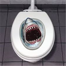Halloween Shark Toilet Seat Cover Cling Decoration By Beistle Walmart Com