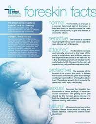 We would like to show you a description here but the site won't allow us. 7 Circumcision Care Ideas Circumcision Circumcision Care New Baby Products