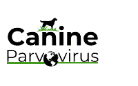 A powerful hot steam clean can also kill parvo on a carpet (perform the steam clean 3 times). Cleaners That Kill Parvo Canine Parvovirus Parvo Cleaning Protocol