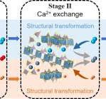 Layered potassium calcium phosphate with multiple ...
