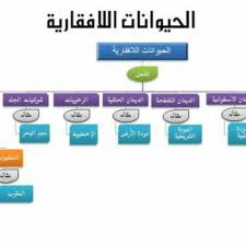 الحيوانات الفقارية واللافقارية Tutor Teacher Facebook 5 Photos