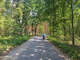 Fahrradtour Von Berlin In Den Spreewald In 2020 Spreewald Fahrradtour Radtour