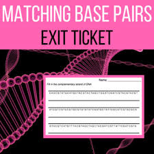 Essential questions for literary themes Base Pairing Dna Worksheets Teaching Resources Tpt