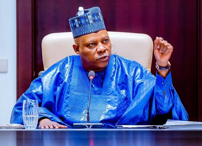 If Nigeria fails, black man has failed' – Shettima