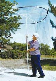 Protect fruit trees from birds. Pin On Try It In The Garden