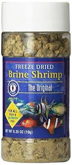 Best Betta Food 7 Top Freeze Dried And Pellet Foods For Betta Fish Brine Shrimp Betta Food Freeze Drying