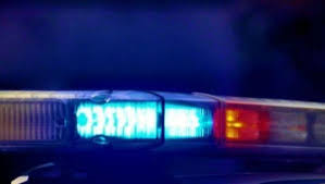 Greenville man dies after being struck by two vehicles