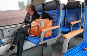 (kabin dan kargo) di semua jenis penerbangan. Pengangkutan Anjing 17 Foto Bolehkah Mengangkut Anjing Di Dalam Bas Atau Kereta Api Di Dalam Sangkar Atau Beg Apakah Peraturan