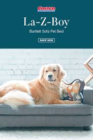 Us costco listed it as $46.99 usd( $62 cad). 92 Bow Wow Ideas In 2021 Happy Dogs Bow Wow Dogs