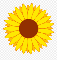 Flower Vector Png Image Sunflower Template Sunflower Clip Art Sun Flower Transparent Png 796156 Pinclipart