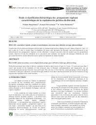 Image result for Pseudoeriosema borianii