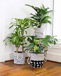 That was thousands of years ago, and the clay pots they used weren't much different from the terracotta pots still being sold today. 18 Easy To Make Houseplant Pot Cover Ideas Balcony Garden Web
