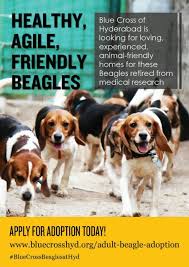 Uk has over 3000 calendars, planners, diaries and. Pin On Adoption