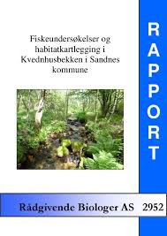 Kartlagte kvikkleiresoner viser områder som kan være utsatt for store kvikkleireskred. Fiskeundersokelser Og Habitatkartlegging I Kvednhusbekken I Sandnes Kommune Radgivende Biologer