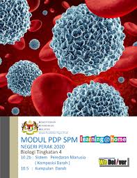 Selepas itu, sel darah merah akan mati dan akhirnya dibuang dari badan. Biot4 10 2b 10 5 Sistem Peredaran Darah Darah Kumpulan Darah Manusia Bm Flip Ebook Pages 1 16 Anyflip Anyflip