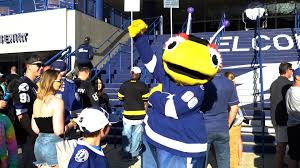 Thousands saw it on youtube. Tampa Bay Lightning S Thunderbug Does Valentine S Day Wtsp Com