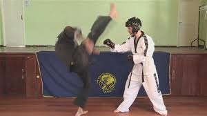 Taekwondo Downwards Kick Tutorial - video Dailymotion
