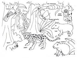 Rainforest Animal Coloring Pages Printable Sketch Coloring Page Rainforest Animals Amazon Rainforest Animals Animal Habitats