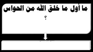 ما أول ما خلق الله من الحواس Youtube