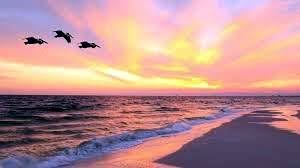 Joan M. Torrone Obituary