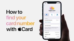 Maybe you would like to learn more about one of these? Apple Card How To Find Your Card Number Youtube