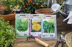 Home & garden web directory. Seedquest Central Information Website For The Global Seed Industry