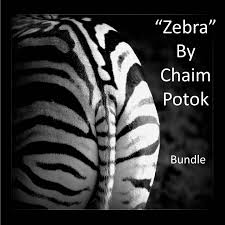 Zebra By Chaim Potok Bundle Package Zebra Zebras Teaching